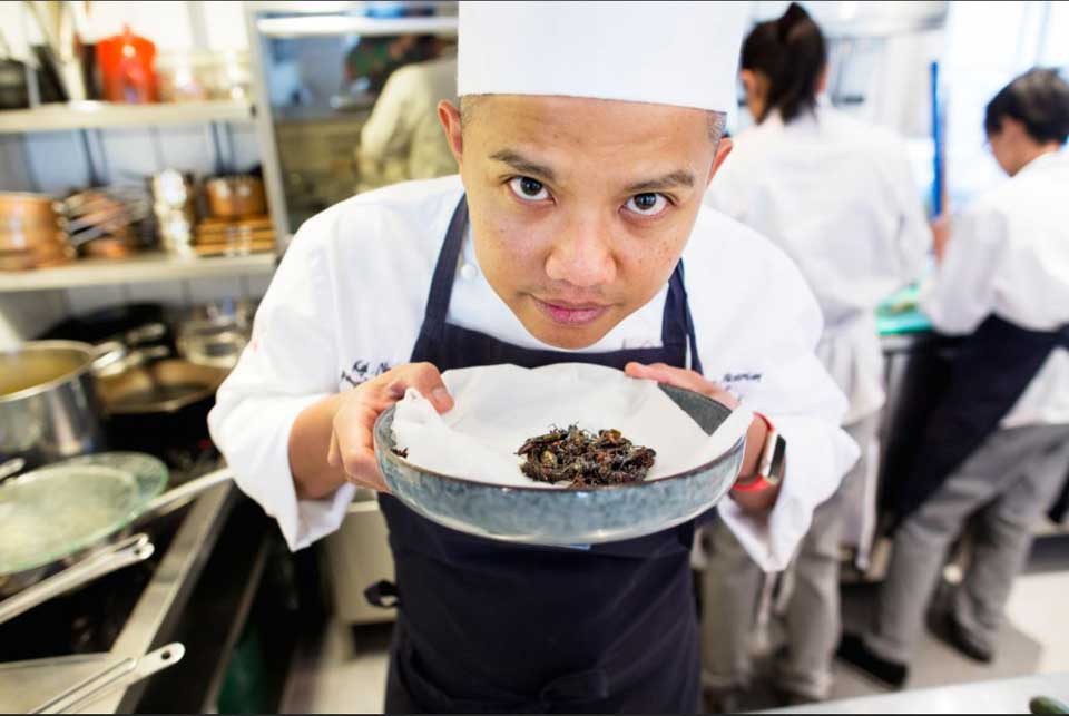 Sebastian Engh fra Thailand tilbereder insekter. Foto: Tom-Egil Jensen