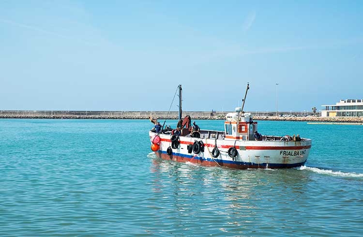Tunfisk makrellstørje Spania