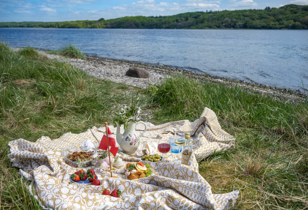 piknik på Jylland