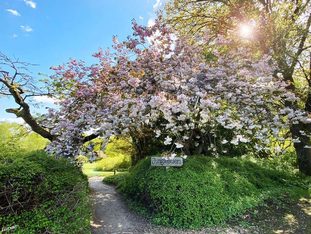 Geografisk Have i Kolding